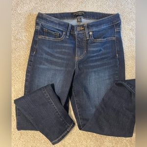 Banana Republic Factory Curvy Skinny Jeans
